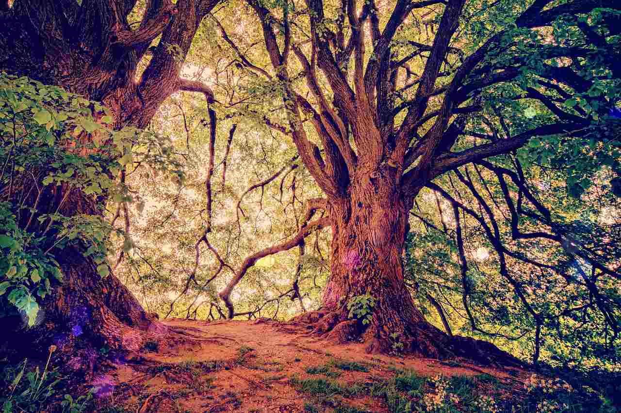 グリーンマンは木々のスピリットと生きる愛情ゆたかな精霊。アミニズム信仰が伝えてくれるものとは